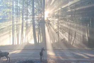 4020 Ridge Cir, Willits, CA 95490 - Photo 6