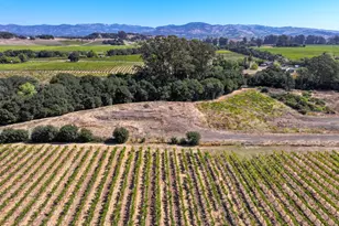 3316 Sonoma Hwy, Napa, CA 94559 - Photo 8