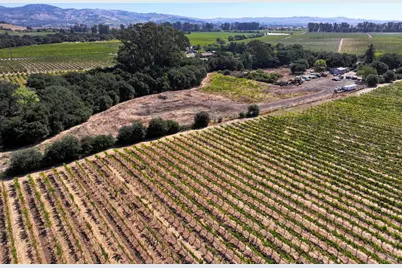 3316 Sonoma Highway, Napa, CA 94559 - Photo 4