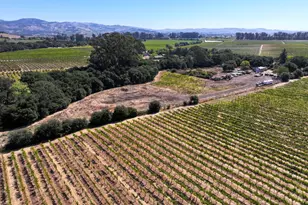 3316 Sonoma Hwy, Napa, CA 94559 - Photo 4