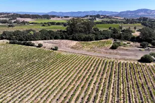 3316 Sonoma Hwy, Napa, CA 94559 - Photo 10