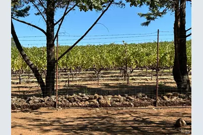 271 White Cottage Road, Angwin, CA 94508 - Photo 6