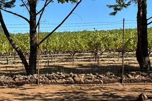 271 White Cottage Rd, Angwin, CA 94508 - Photo 6