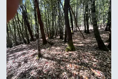 26093 Otter Drive, Willits, CA 95490 - Photo 2