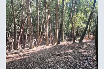 26093 Otter Drive, Willits, CA 95490 - Photo 1