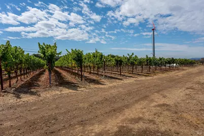 3340 Lichau Road, Penngrove, CA 94951 - Photo 18