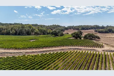 3340 Lichau Road, Penngrove, CA 94951 - Photo 12