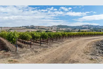 3340 Lichau Road, Penngrove, CA 94951 - Photo 8