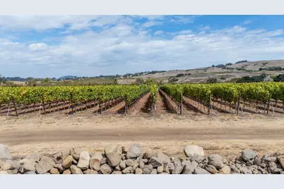 3340 Lichau Road, Penngrove, CA 94951 - Photo 10