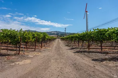 3340 Lichau Road, Penngrove, CA 94951 - Photo 16