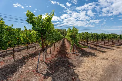 3340 Lichau Road, Penngrove, CA 94951 - Photo 14