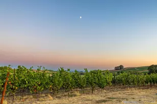 1299 Duhig Rd, Napa, CA 94559 - Photo 1