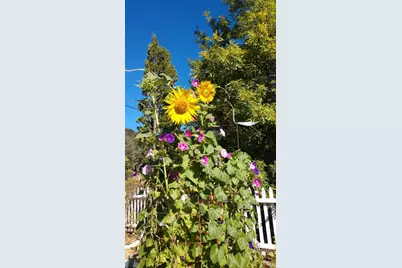 6 Blackwood Court, Napa, CA 94558 - Photo 66