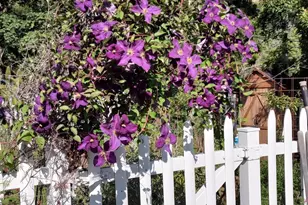 6 Blackwood Ct, Napa, CA 94558 - Photo 68