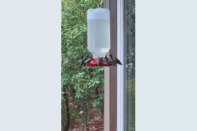 6 Blackwood Court, Napa, CA 94558 - Photo 70