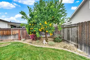 221 Livingston Ave, Vacaville, CA 95687 - Photo 68