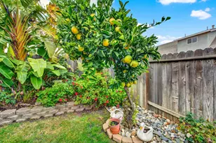 221 Livingston Ave, Vacaville, CA 95687 - Photo 66