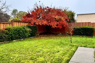 3739 Parrett Ave, Napa, CA 94558 - Photo 18