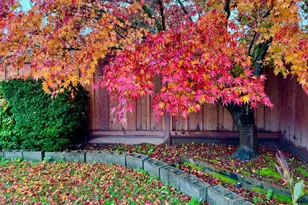 3739 Parrett Ave, Napa, CA 94558 - Photo 22