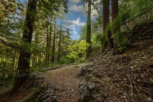 11 Huckleberry Heights, Cazadero, CA 95421 - Photo 6