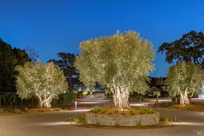 1590 McKinley Road, Napa, CA 94558 - Photo 62