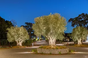 1590 McKinley Rd, Napa, CA 94558 - Photo 62