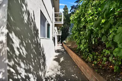 17 Roque Moraes Court, Mill Valley, CA 94941 - Photo 8