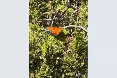 23 Valley View Court, El Sobrante, CA 94803 - Photo 40