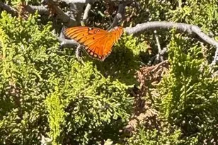 23 Valley View Ct, El Sobrante, CA 94803 - Photo 40