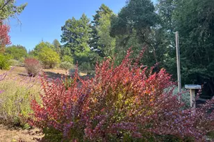 12195 Fiori Ln, Sebastopol, CA 95472 - Photo 72