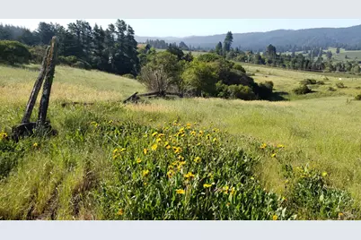 2333 Guntley Road, Philo, CA 95466 - Photo 50