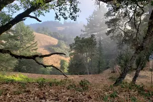 2333 Guntley Rd, Philo, CA 95466 - Photo 48