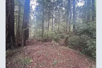 0 Law Road, Mendocino, CA 95460 - Photo 4