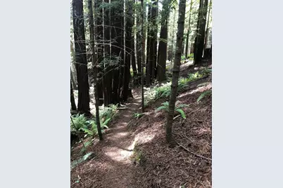 338 Westerly Court, The Sea Ranch, CA 95497 - Photo 6