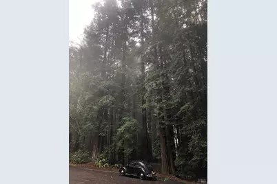 338 Westerly Court, The Sea Ranch, CA 95497 - Photo 10