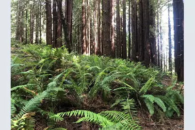 338 Westerly Court, The Sea Ranch, CA 95497 - Photo 16