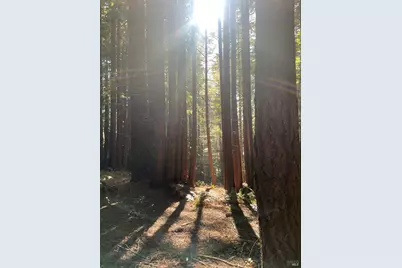 338 Westerly Court, The Sea Ranch, CA 95497 - Photo 2