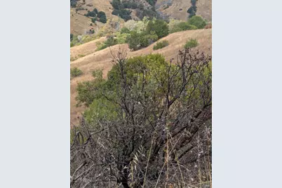 59202 George Washington Rock Road, Laytonville, CA 95585 - Photo 16