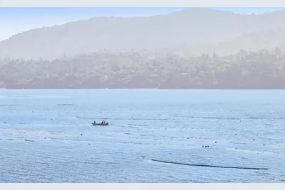 17523 Highway 1, Marshall, CA 94940 - Photo 50