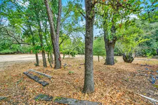 677 Petaluma Ave, Sonoma, CA 95476 - Photo 56