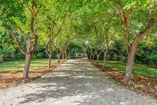 12 Tallent Ln, Yountville, CA 94599 - Photo 78