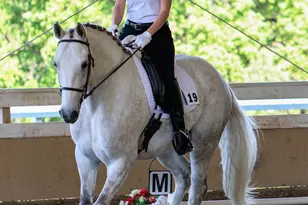 8900 Wight Way, Kelseyville, CA 95451 - Photo 8