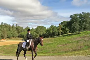 8900 Wight Way, Kelseyville, CA 95451 - Photo 30