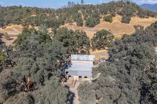 8900 Wight Way, Kelseyville, CA 95451 - Photo 68