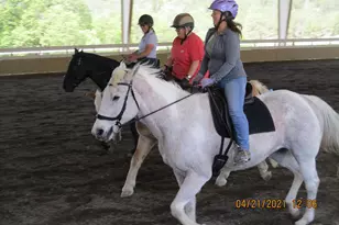 8900 Wight Way, Kelseyville, CA 95451 - Photo 10