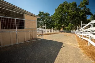8900 Wight Way, Kelseyville, CA 95451 - Photo 24