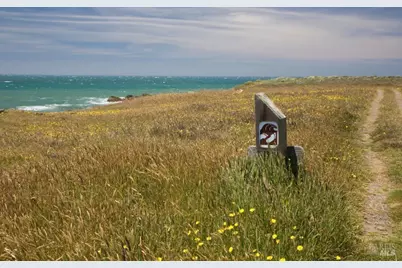 37944 Sentinel Close, The Sea Ranch, CA 95497 - Photo 44