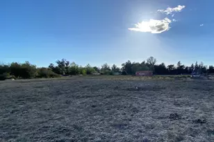 520 E Railroad Ave, Cotati, CA 94931 - Photo 4