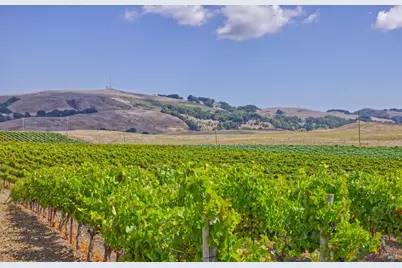 1450 Stage Gulch Road, Petaluma, CA 94954 - Photo 12