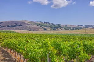 1450 Stage Gulch Rd, Petaluma, CA 94954 - Photo 12